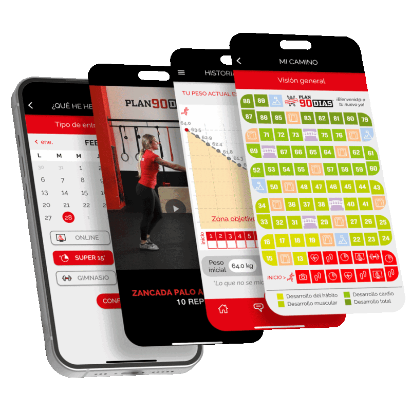 Plan 90 días online - planificación app